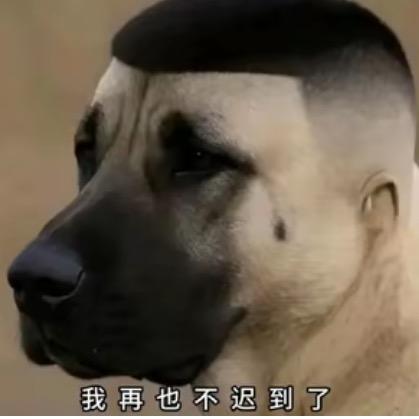 蔡徐昆