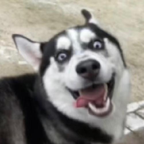 这题选M