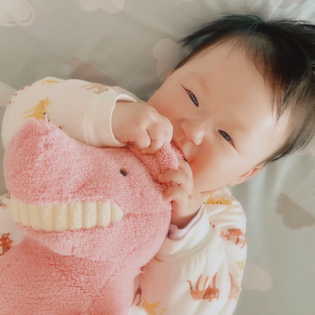 🌈小丸子的主理人