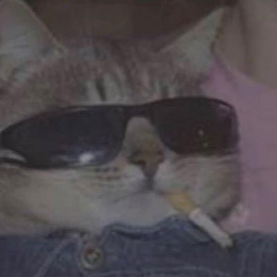 北冰洋撒欢的螺蛳粉