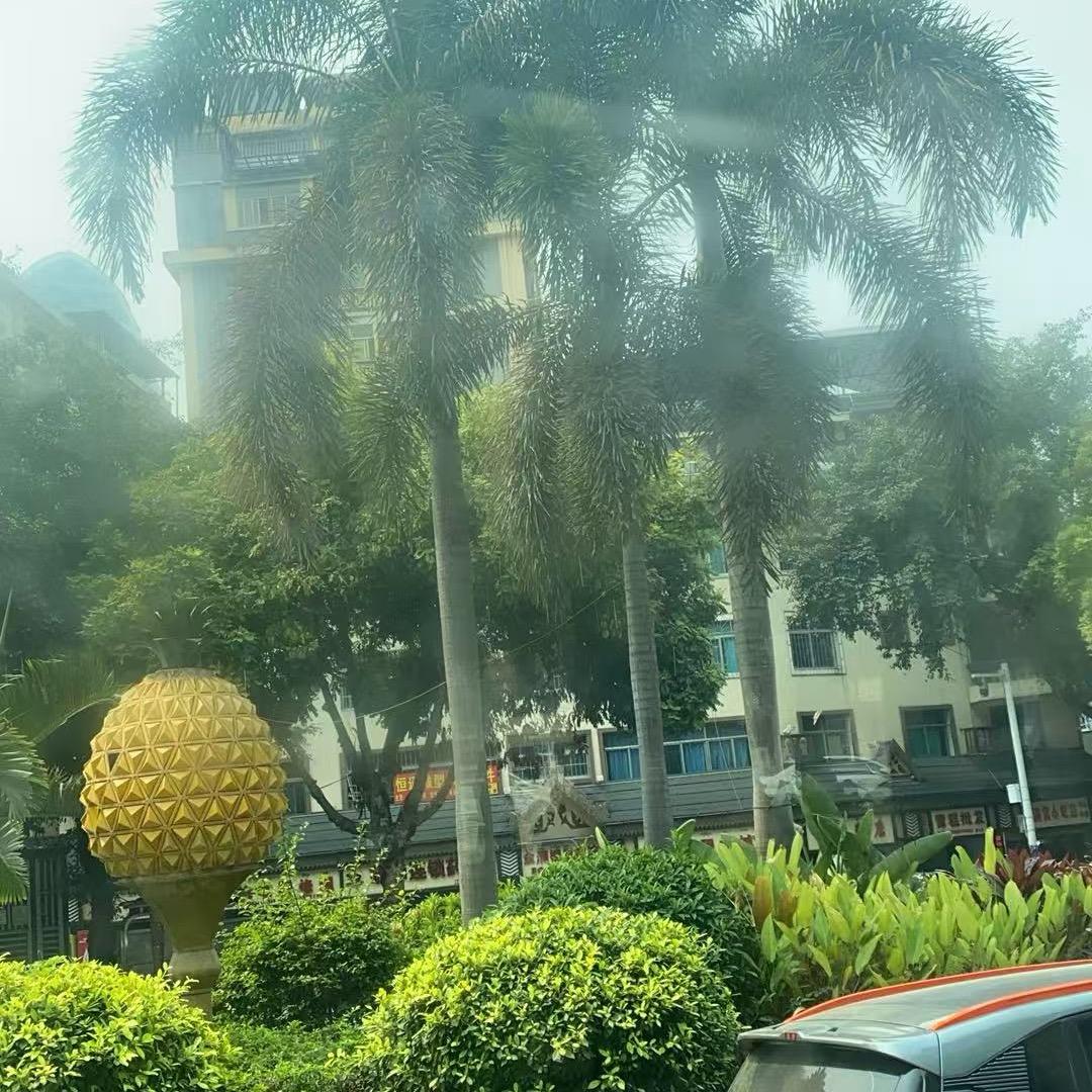 人生就像一场旅行