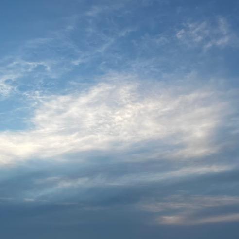 白露半夏