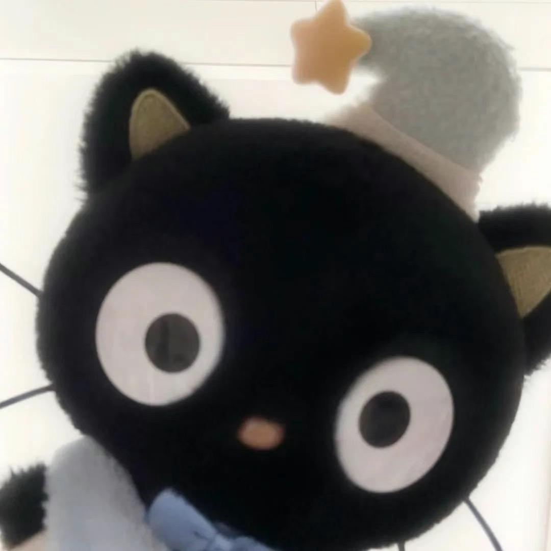 玉米挞大王（沈载伦狂热女粉丝