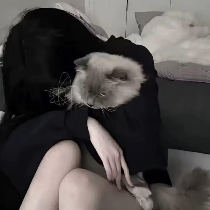 小🐏