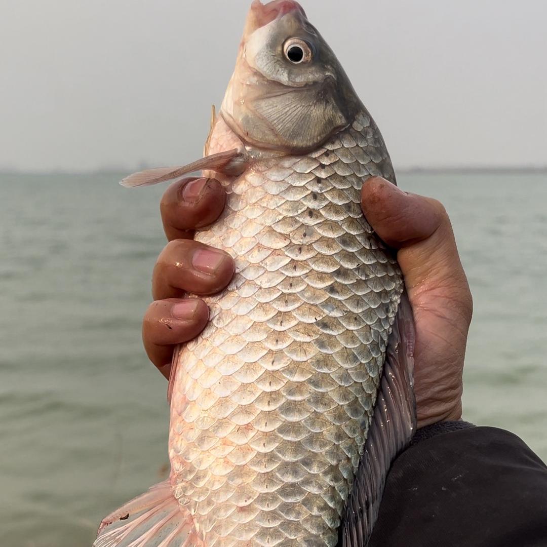 流云依旧暖人心