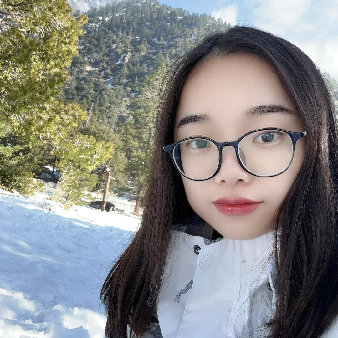 威迪斯Yuna红鱼