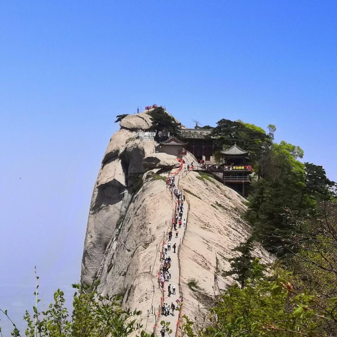 Suxiaojun28