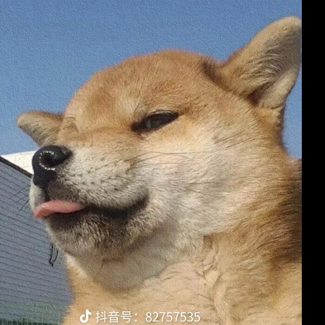 舞帝狗弟🐶 （悟空互娱）