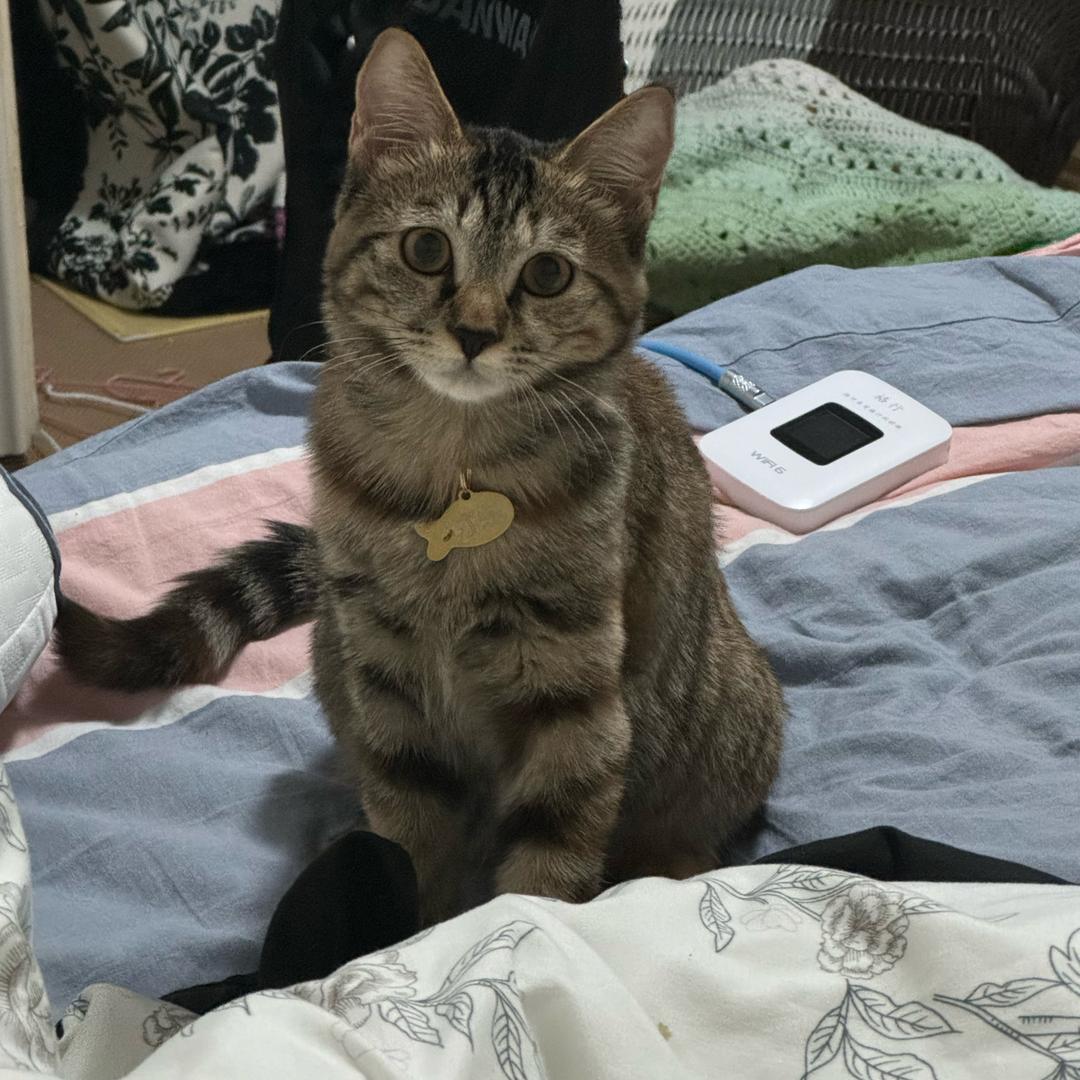 坏脾气的王可乐