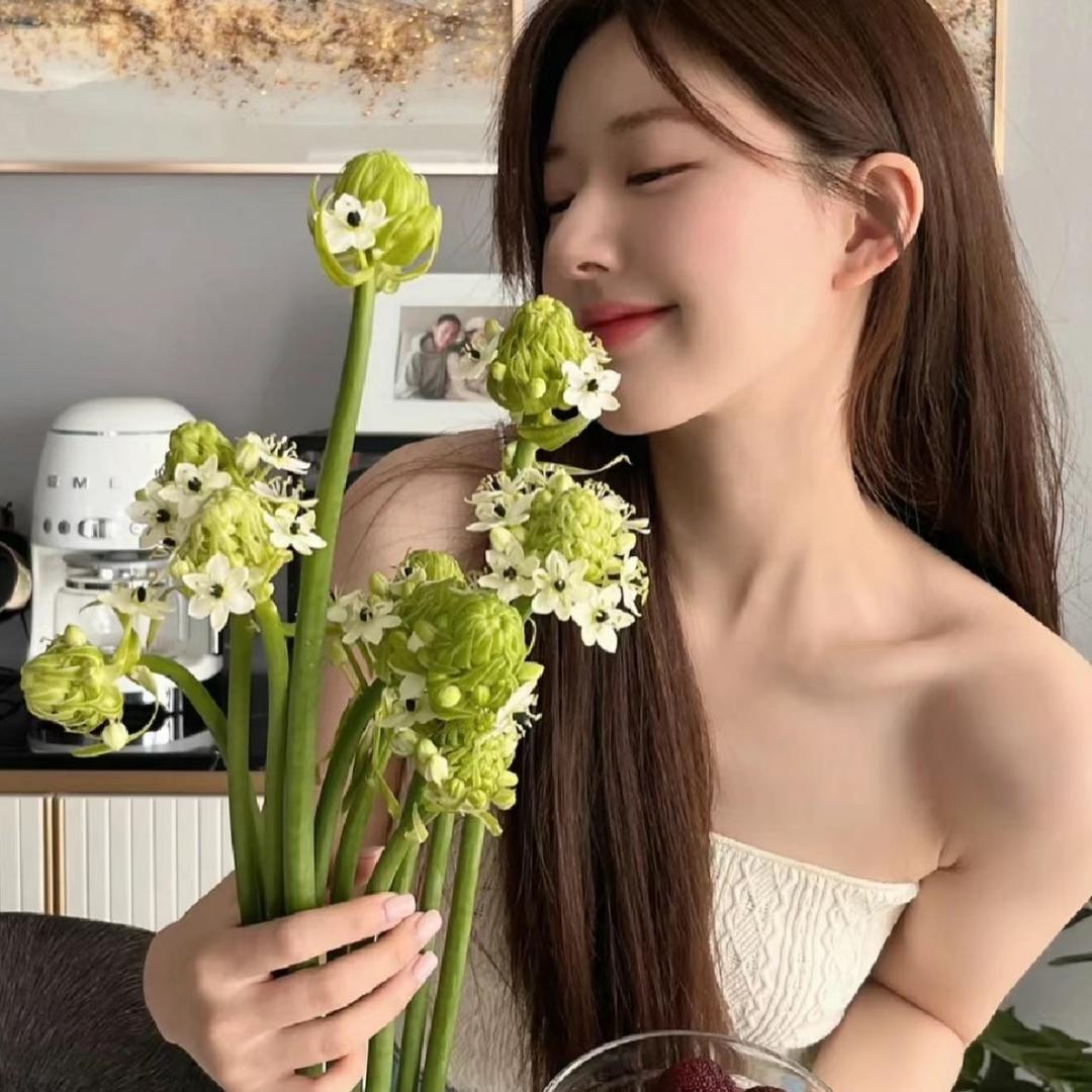 你的晓娆