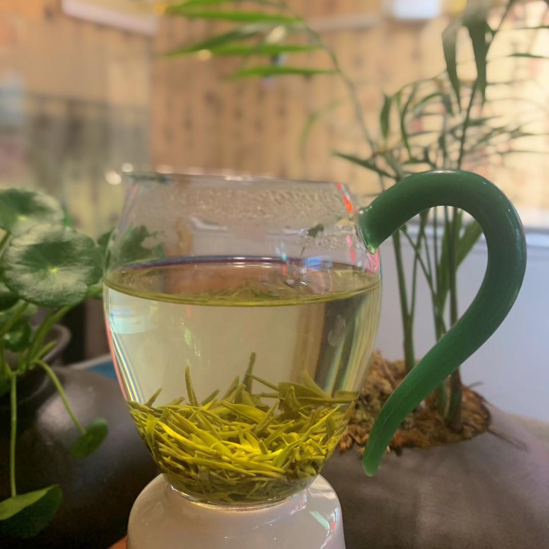 🍵茶小丹