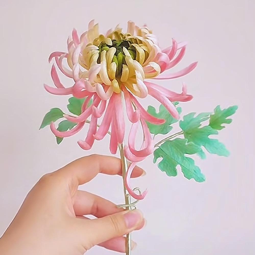星玥(刀不了一点版)🤜🤛