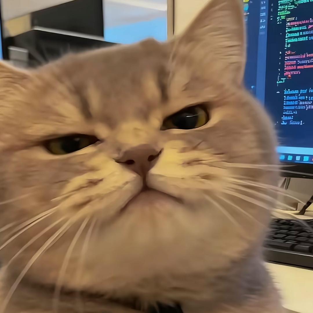 猪圈❤️