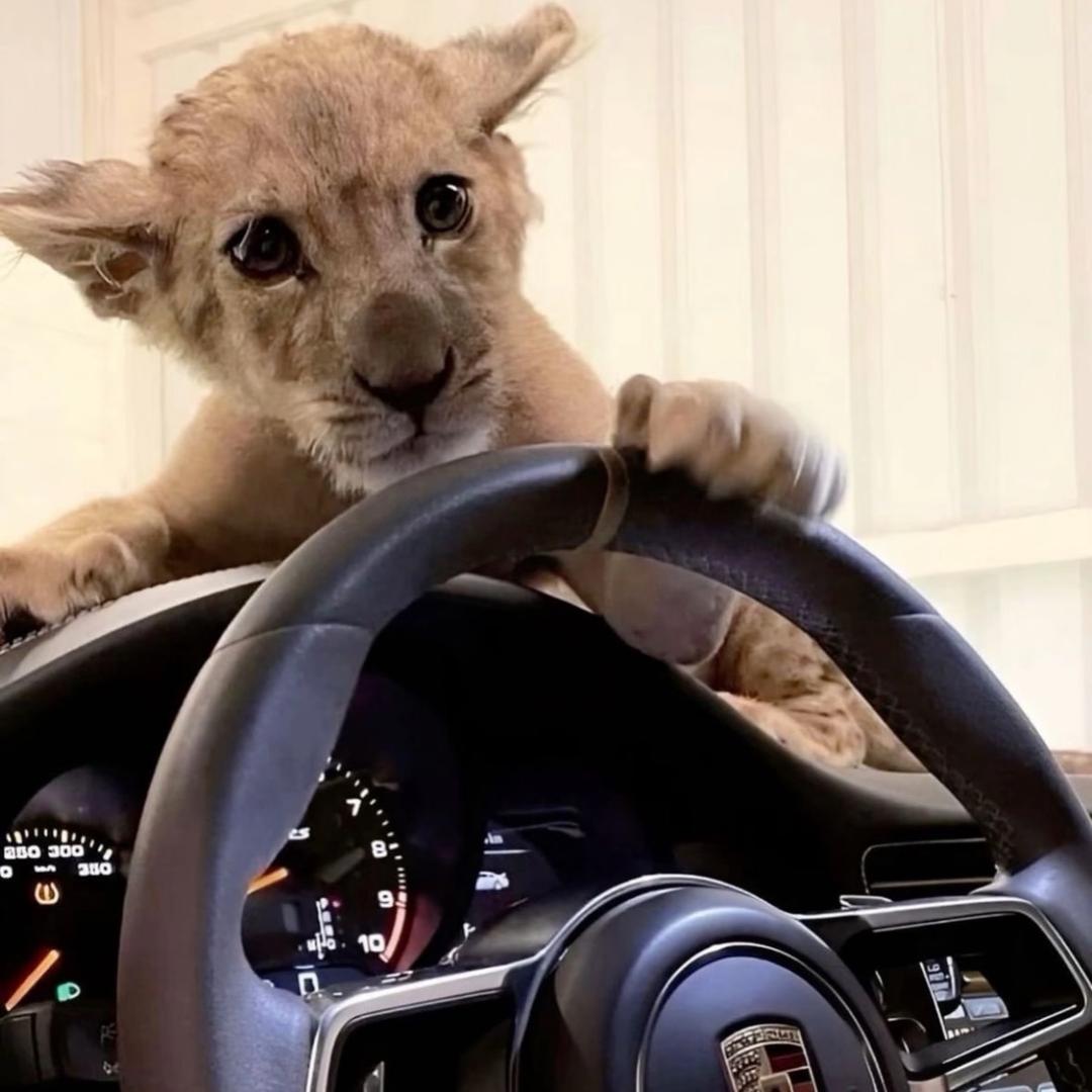 yu帝精品二手🚗