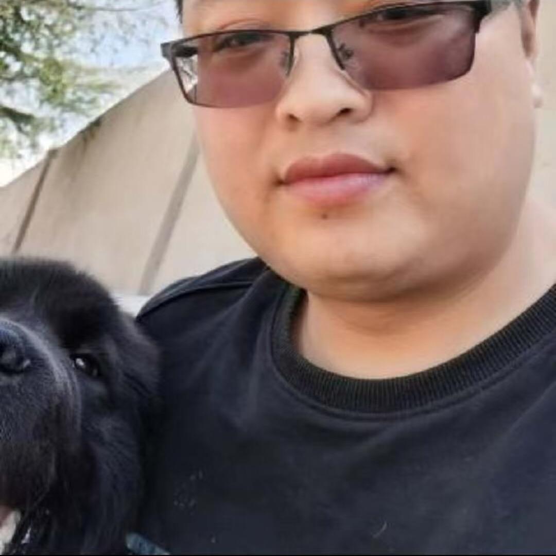 爱养狗的林（凤城犬舍）
