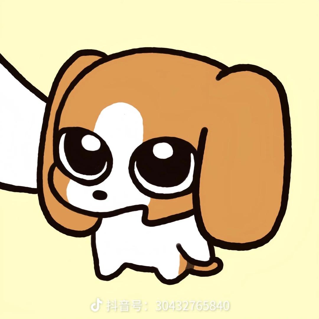 小🈳️
