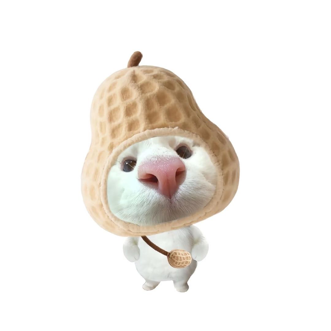我就要吃(预定版💗