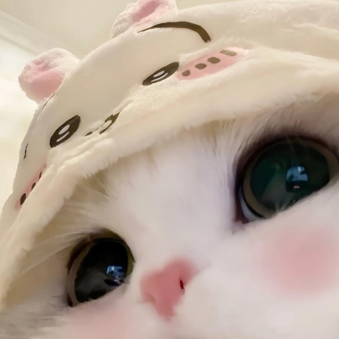 团团ʕ•̫͡•ʔ