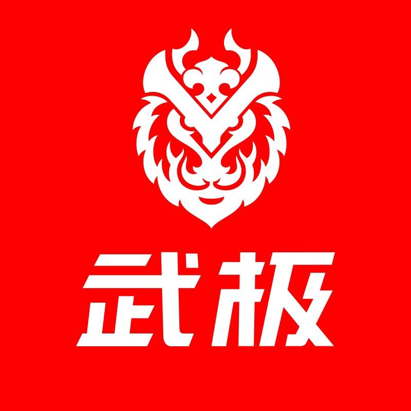 武极电脑
