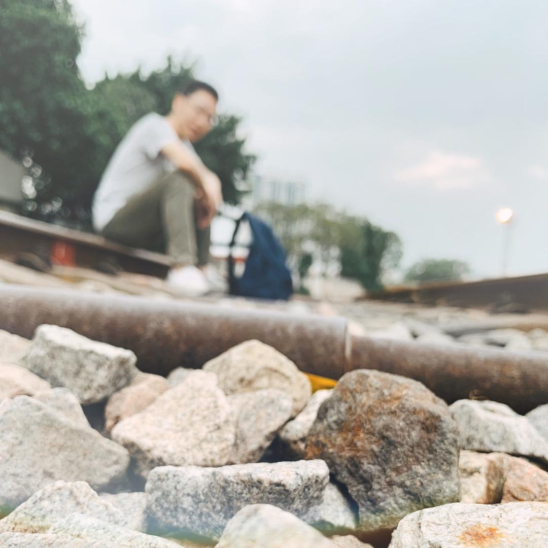 星大今天吃什么