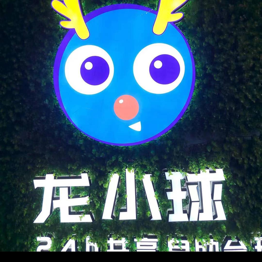 岱岳龙小球