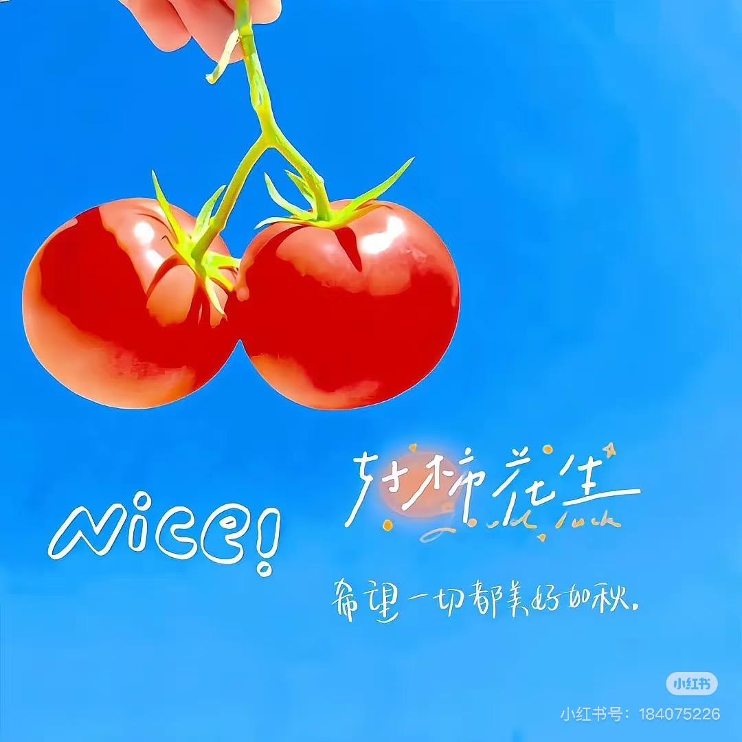 好柿花生