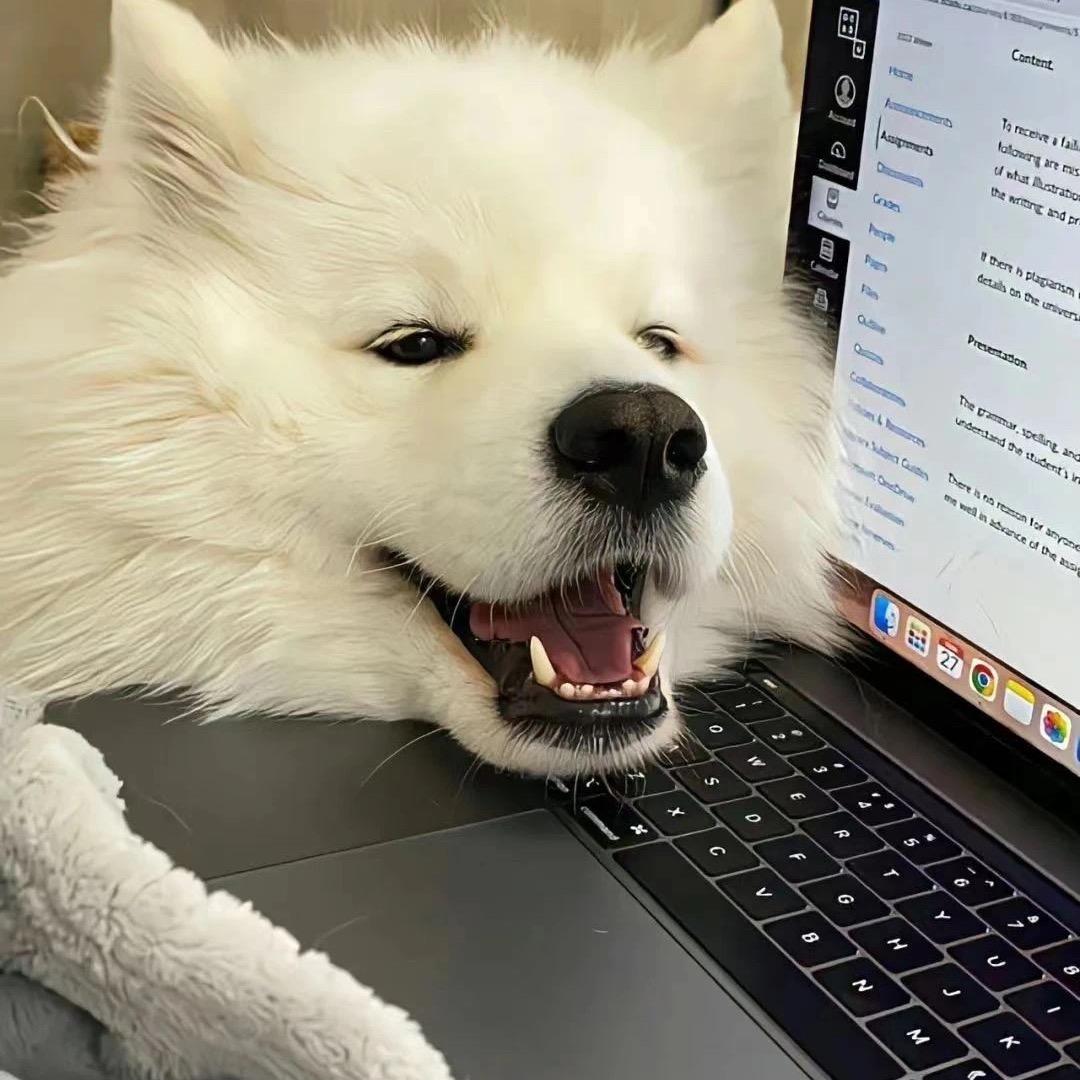 耶比