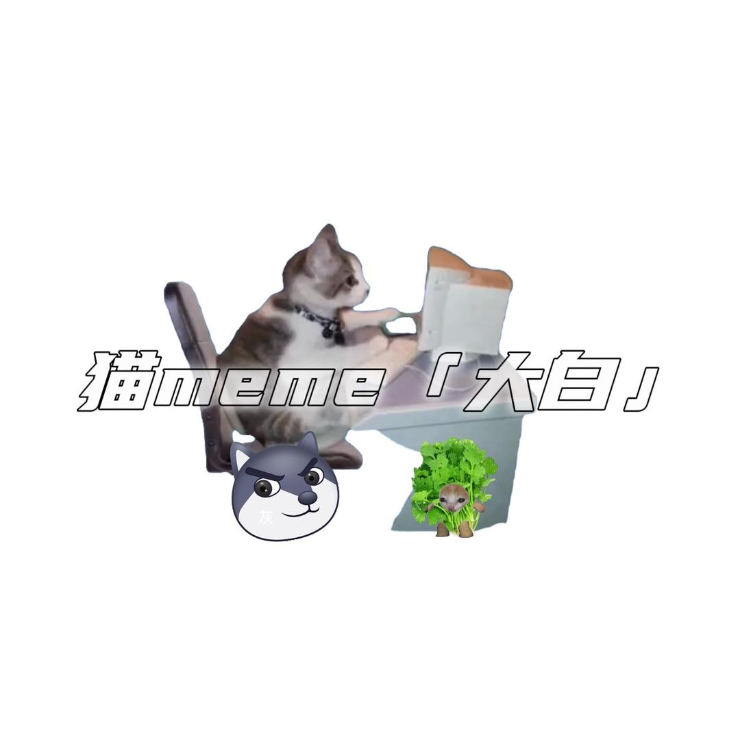猫meme「大白」