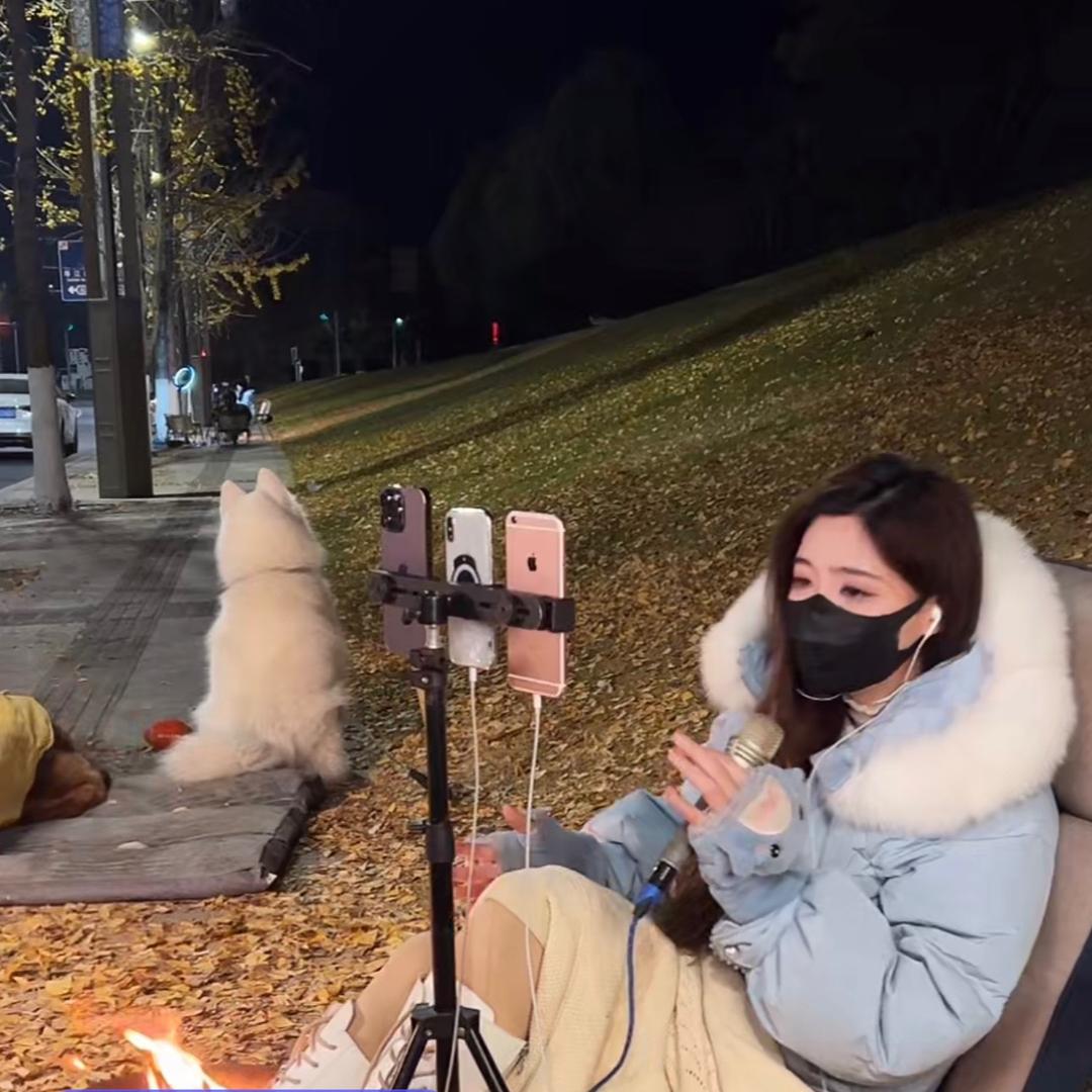 辉辉精选