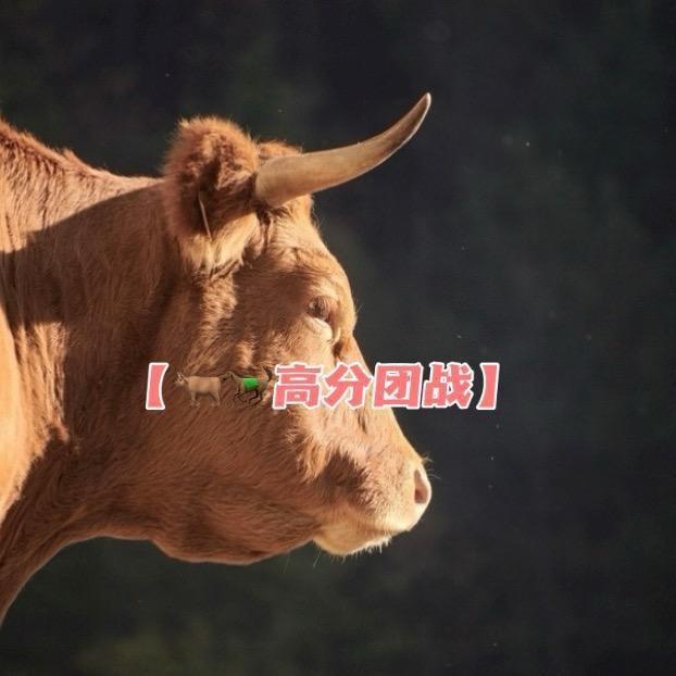 牛马高分团战（王者最新热点新闻事件）