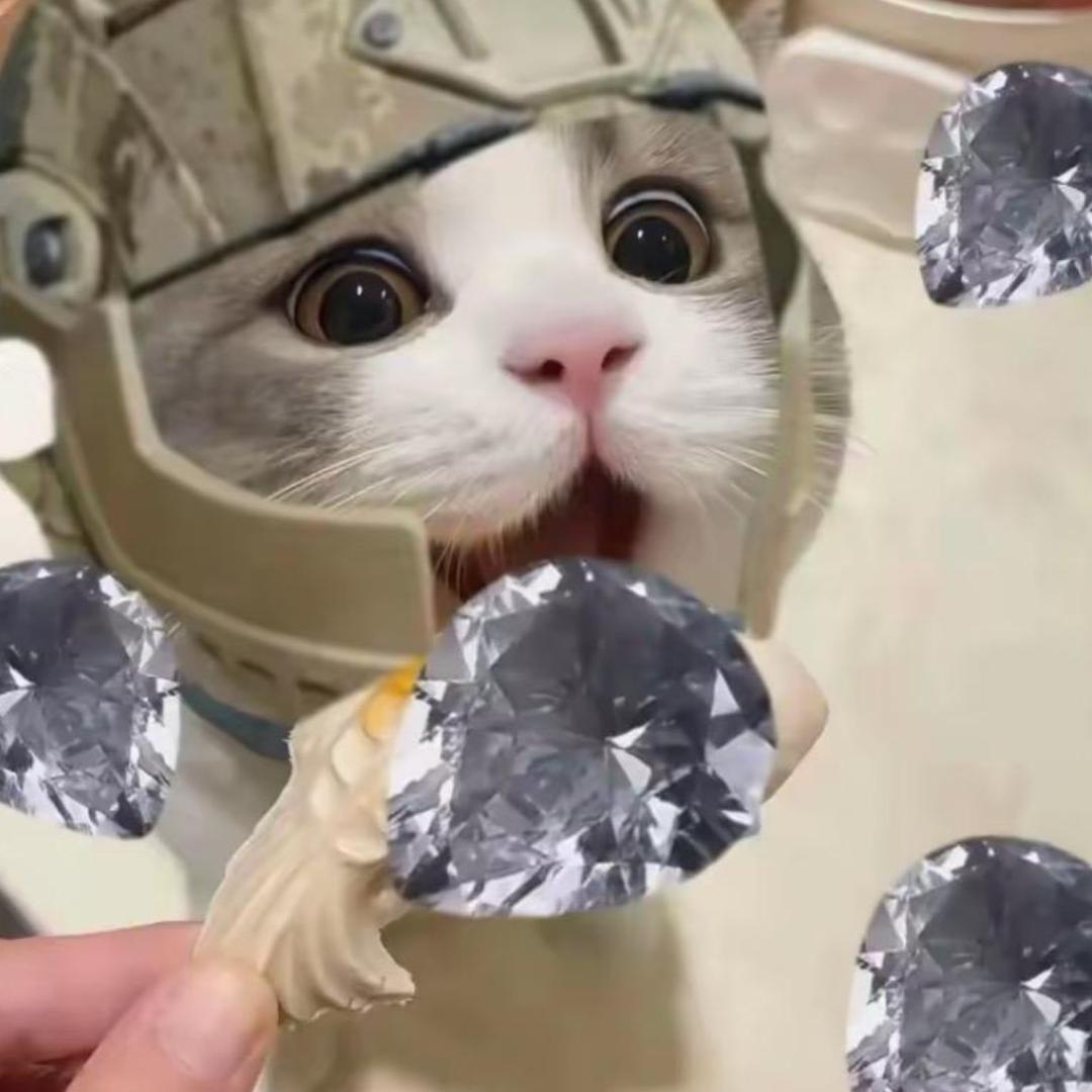猫猫三角洲