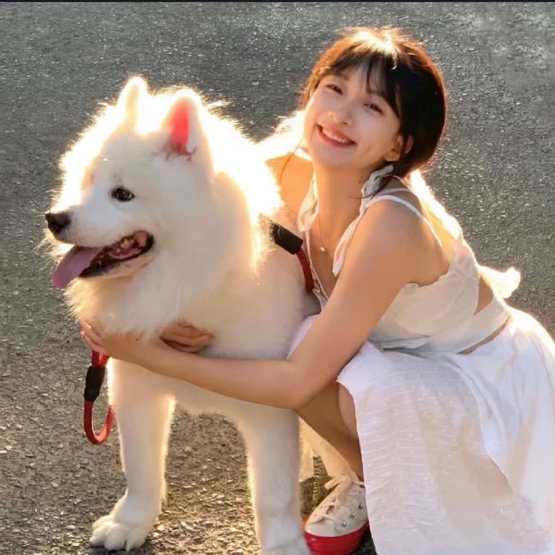 佩奇哆米