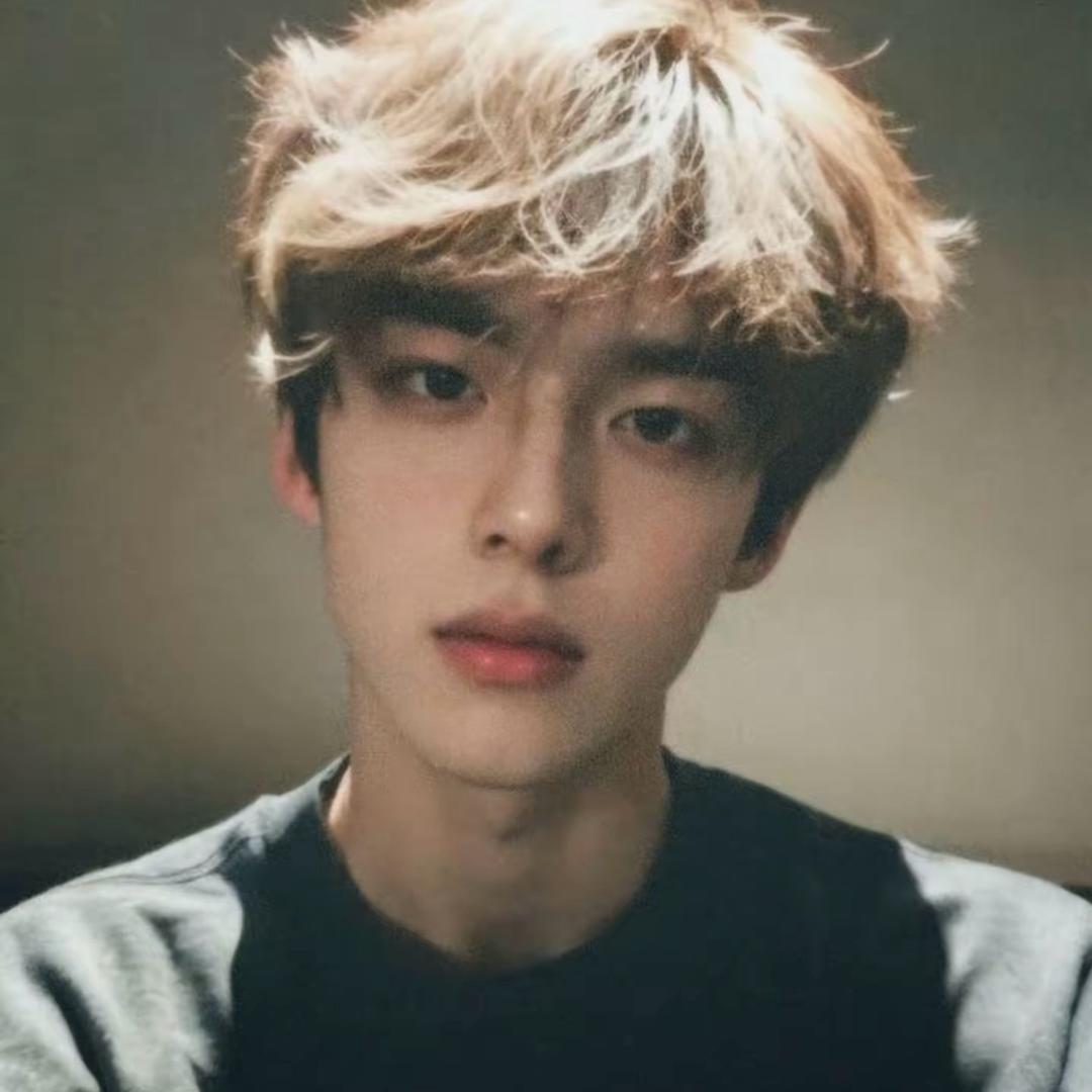 孤独的狼
