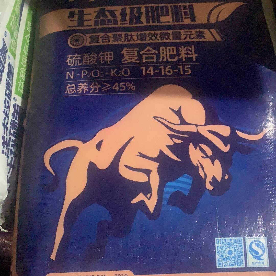 潇