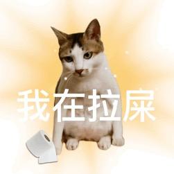 小俊就很nice