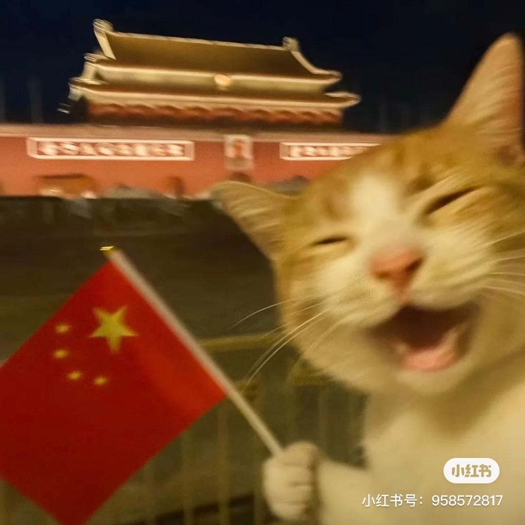 训练多久才会有训练痕迹