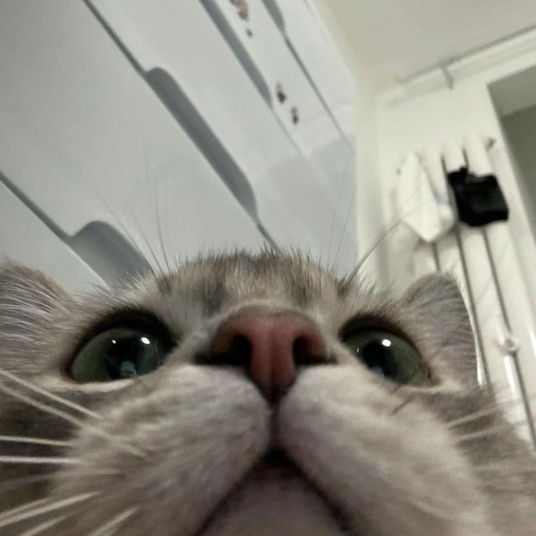 耳骨钉