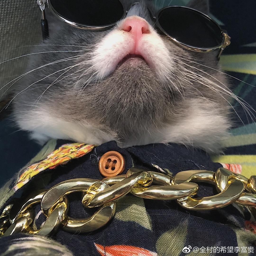 李富贵