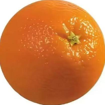 橙子说车🍊