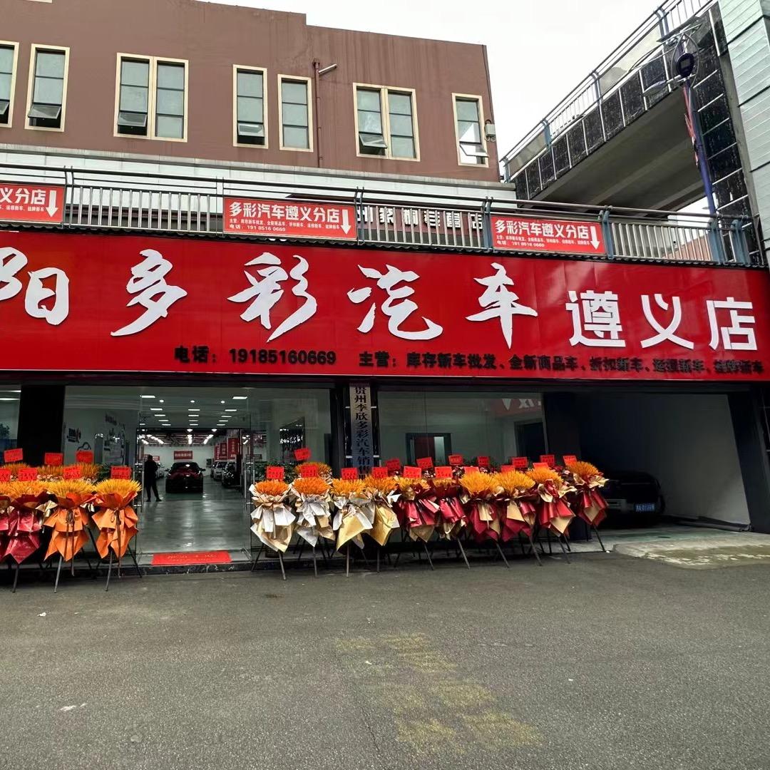 多彩汽车（杨辉）