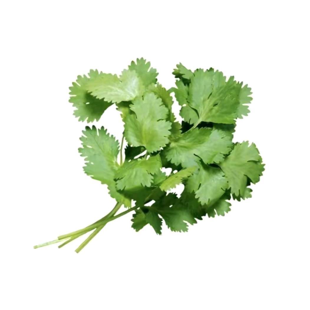 香菜