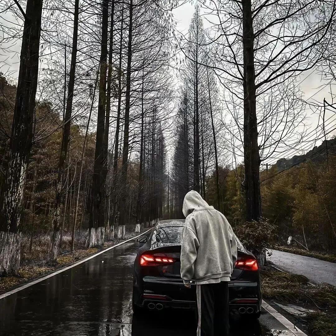 爱看海也爱你