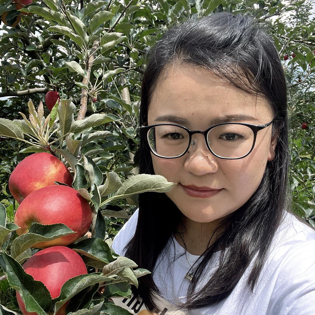 小白家的菜篮子