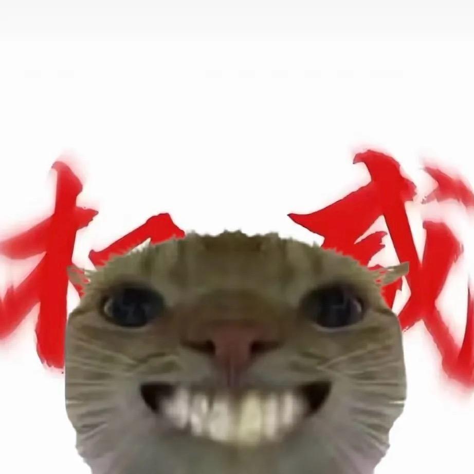 闪电鼠（三角洲行动）🐭鼠跑刀版