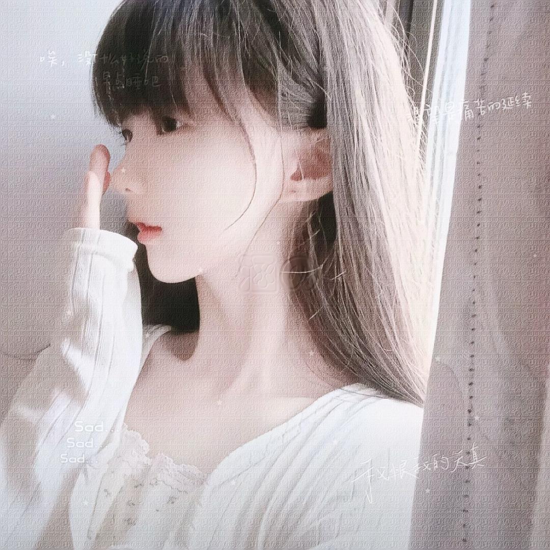 布丁