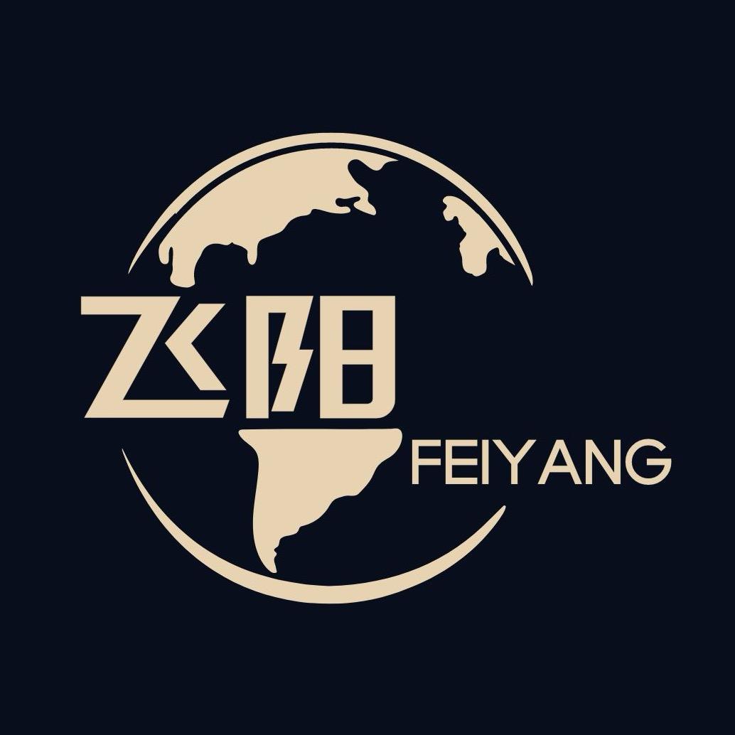 飞阳企业店