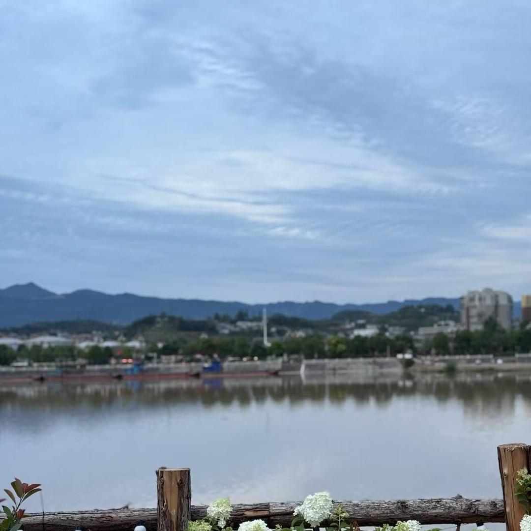 👯‍♀️🐵🦁🐯