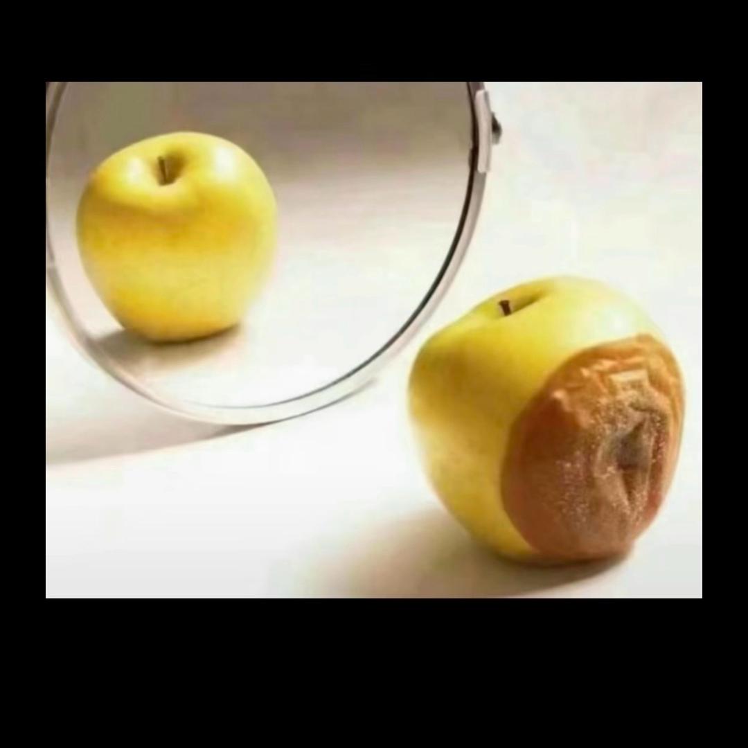 懾彙