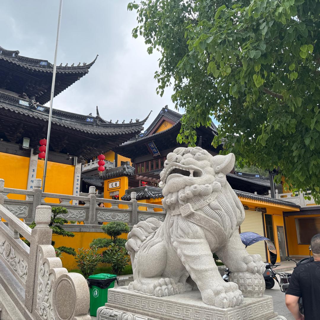 迈哒