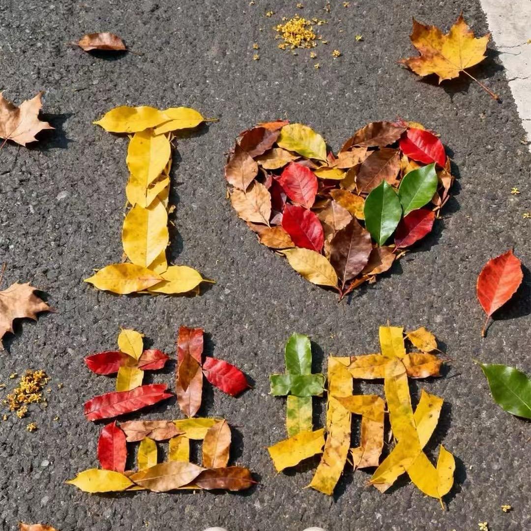 美缝｜打胶｜贴膜-陈胶瘦